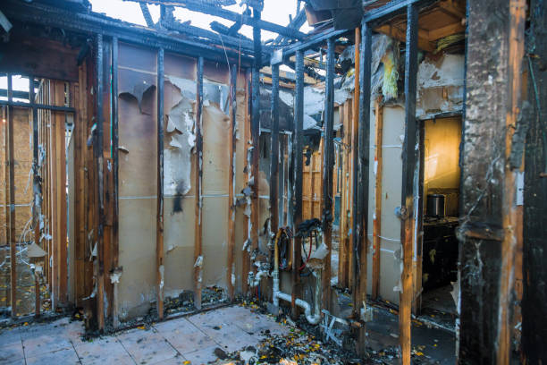 Professional Smoke Damage Removal technician working in Kingston, NJ